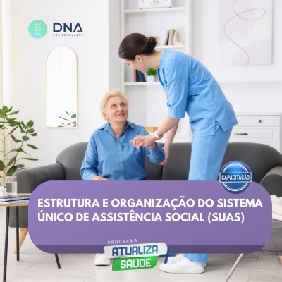 Estrutura e Organização do Sistema Único de Assistência Social (SUAS)